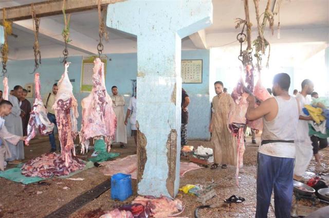 بيطري الأقصر تجهز 5 مجازر حكومية