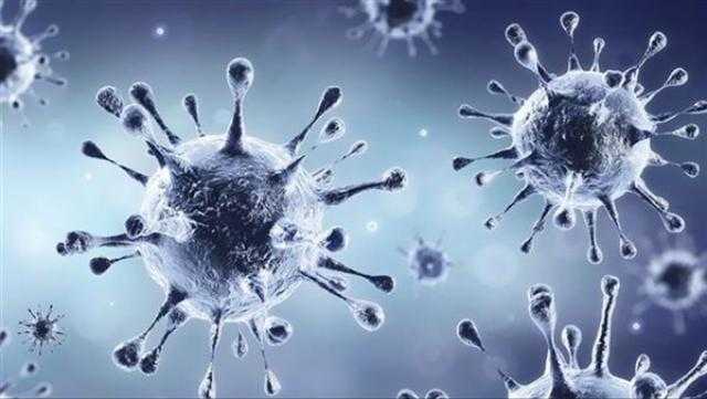 الجزائر تسجل 11 إصابة جديدة بكورونا خلال الـ24 ساعة الأخيرة