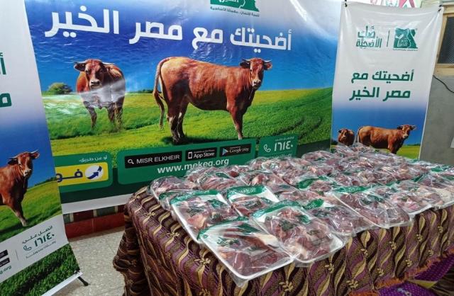 محافظ أسيوط: ذبح 50 عجلًا حتى الآن من إجمالي ”صك الأضحية” | صور