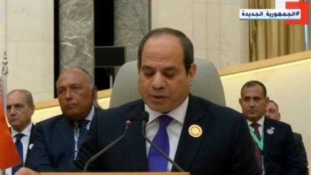 الرئيس السيسي: يجب تعزيز التضامن الدولي لرفع قدرات دول المنطقة في التصدي للقضايا