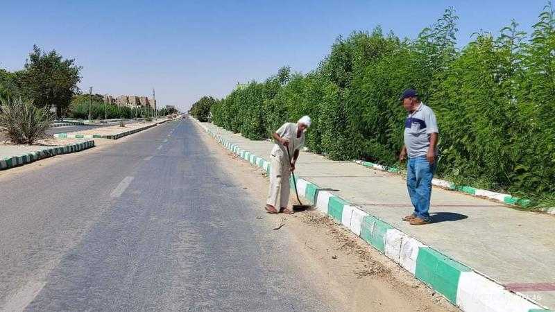 حملات لقص الأشجار ورفع المخلفات من الشوارع والميادين بمدينة الخارجة | صور