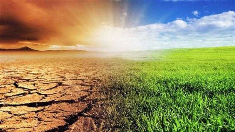 «الزراعة»: تأثيرات تغير المناخ مائة ضعف تداعيات الحرب الروسية الأوكرانية
