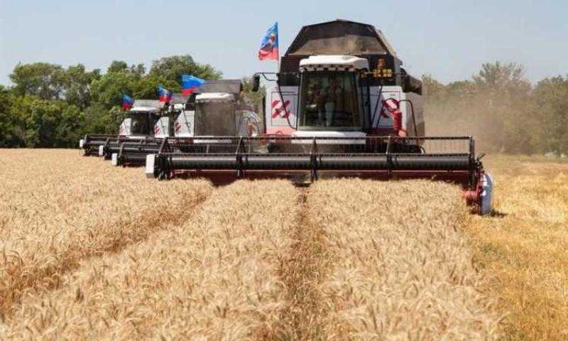 التموين: الاحتياطي الاستراتيجي من القمح يكفي حتى 7 شهور.. فيديو