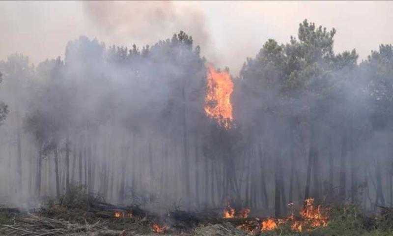 تواصل الجهود لإخماد الحرائق بجبل برج السدرية بتونس