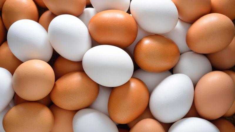 أنفلونزا الطيور تشعل أسعار البيض في أمريكا