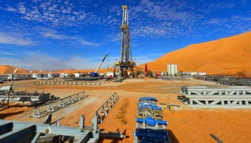 الجزائر: 3 اكتشافات جديدة في مجال الغاز والنفط جنوبي البلاد