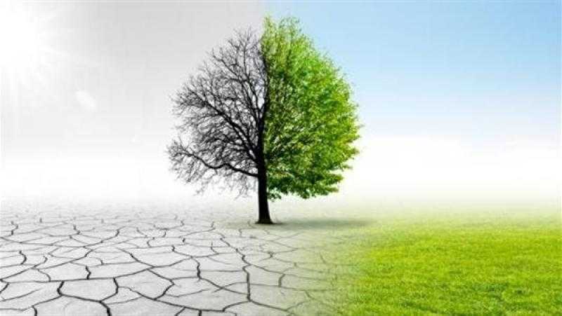 خبير بيئة: مصر رائدة دول العالم في مواجهة تغيرات المناخ