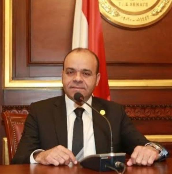  النائب عمرو القماطي