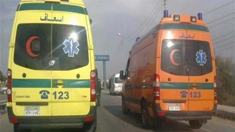 إصابة 11 شخصا فى انقلاب ميكروباص بالشرقية