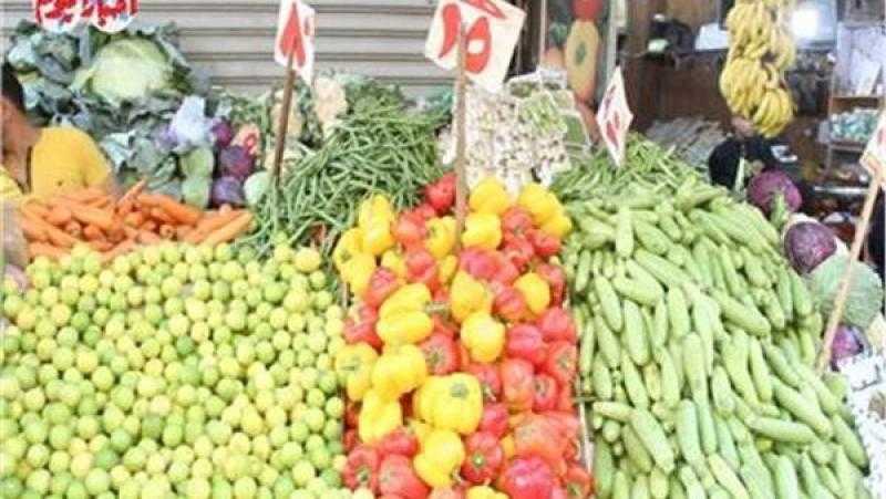 تفاصيل تخصيص 283 قطعة أرض بالمحافظات لإقامة أسواق لمواجهة الغلاء