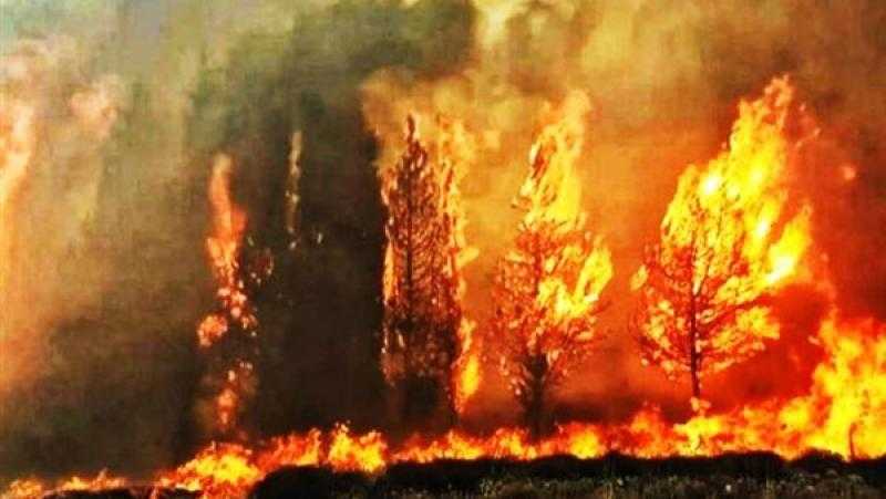 التشيك تكثف جهود مكافحة حرائق الغابات بالحديقة الوطنية