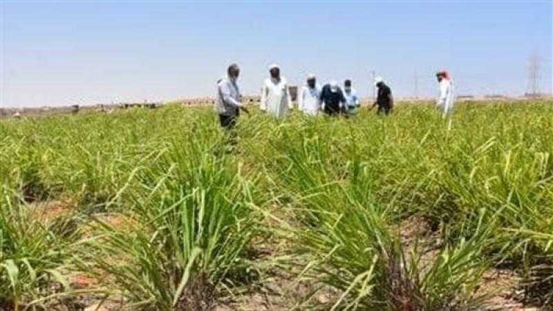 مشروع «برايد» يكثف عمله استعدادا لموسم الأمطار الشتوية في مطروح