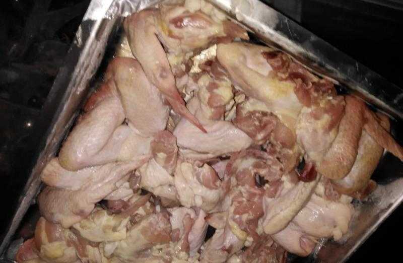 ضبط 20 طن هياكل وفراخ وأحشاء ولحوم مفرومة غير صالحة للاستهلاك في الجيزة