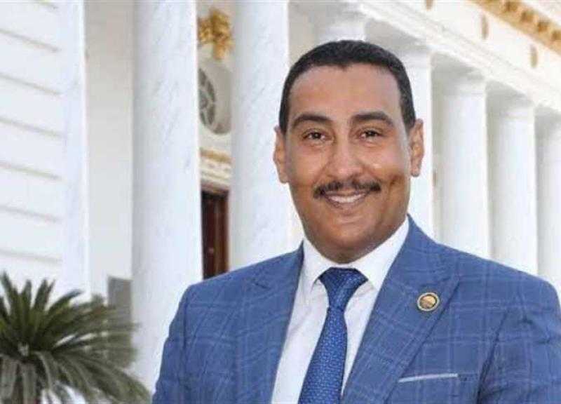 وكيل «طاقة النواب»: توجيهات الرئيس السيسي بإنشاء مجمع لإنتاج «البولي إيثيلين» خطوة لدعم توطين الصناعة
