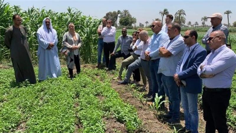 كيف ساهمت استراتيجية الدولة المصرية في تطوير القطاع الزراعي؟.. فيديو