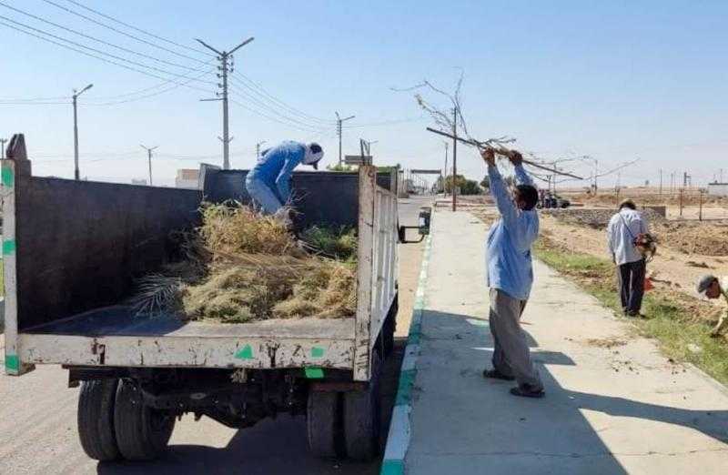 حملات نظافة لتهذيب الأشجار والأرصفة في شوارع الخارجة | صور