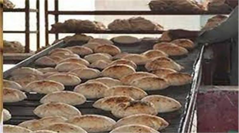 ارشيفية 