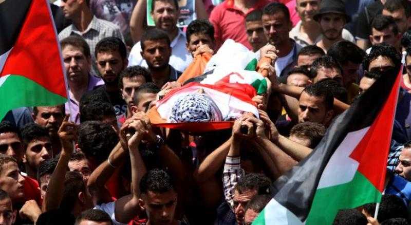 فلسطين: 132 شهيدا ارتقوا باعتداءات الاحتلال الإسرائيلي ومستوطنيه منذ مطلع العام الجاري
