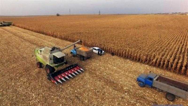 الجزائر تخطط لتغطية احتياجات السوق المحلية في الزراعة