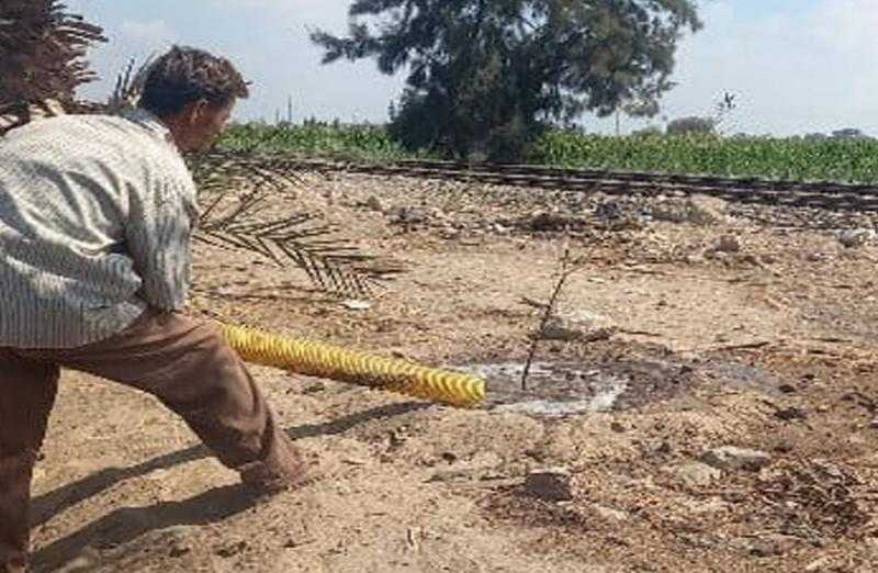 مراكز ومدن الشرقية تبدأ في زراعة 100 مليون شجرة | صور
