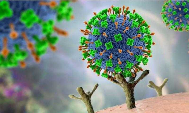تايوان تطور اختبارا للكشف عن فيروس «لانجيا» بتقنية «PCR»