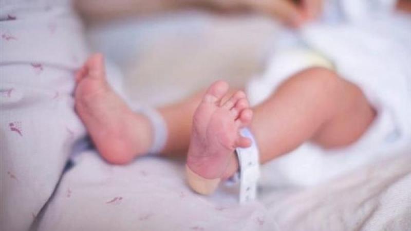 «الإحصاء»: مصر زادت نحو 750 ألف نسمة في 170 يوما فقط