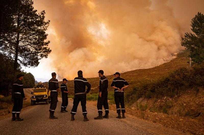 الجزائر: اندلاع 10 حرائق في 7 ولايات وتكثيف الجهود لإخمادها