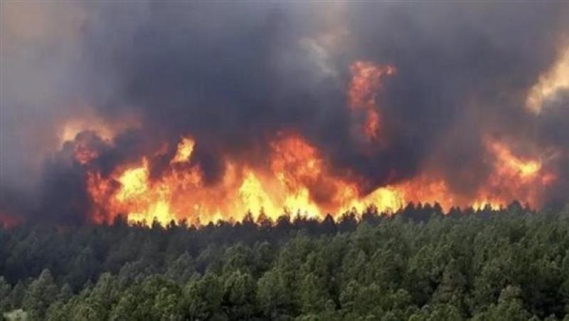 26 قتيلا جراء اندلاع حرائق في الجزائر