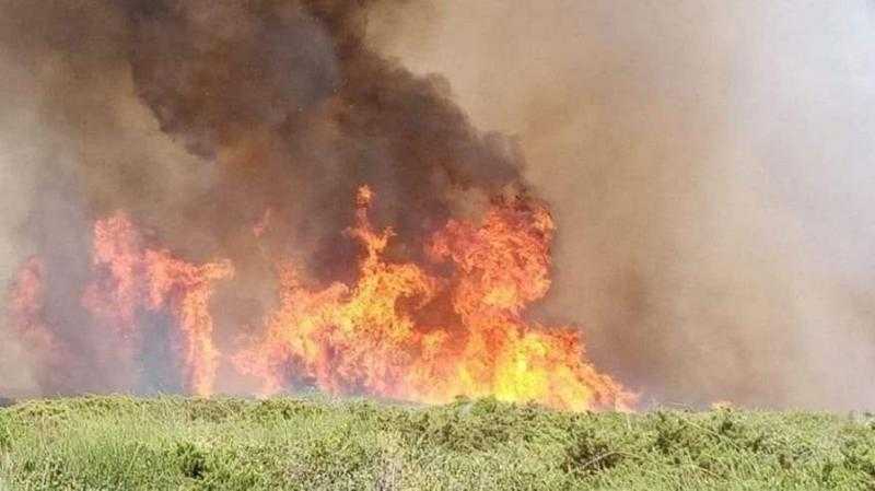 تونس تعلن دعمها لعمليات إطفاء الحرائق بالجزائر