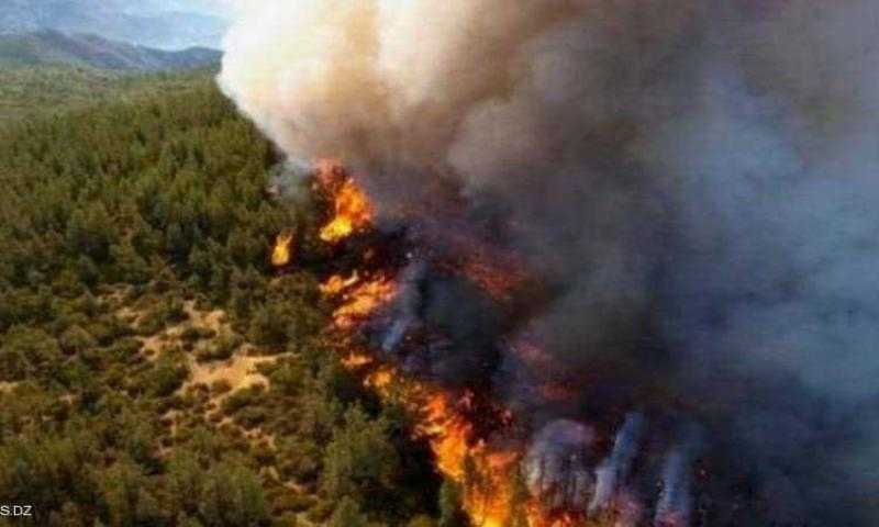 الجزائر تسجل 118 حريقا فى 26 ولاية خلال يوم
