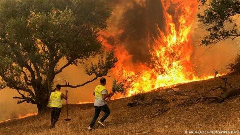 الجزائر: الإبقاء على مستوى عال من التأهب واليقظة عقب إخماد جميع الحرائق