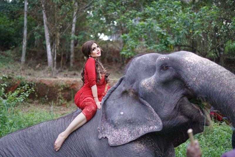 قريبًا.. حليمة بولند تخوض التمثيل مع النجم الهندي شاروخان