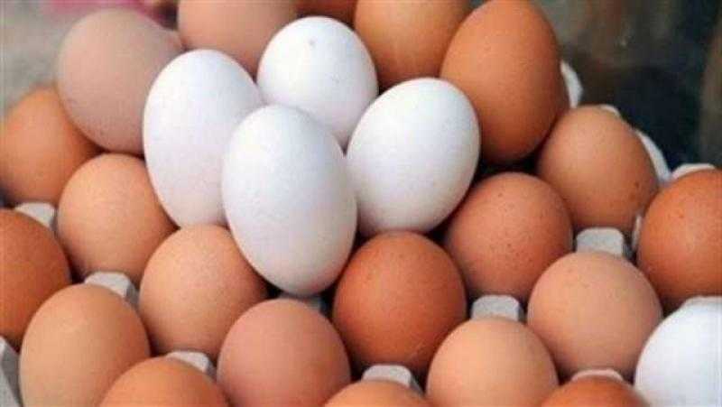 تعرف على سعر كرتونة البيض اليوم الخميس