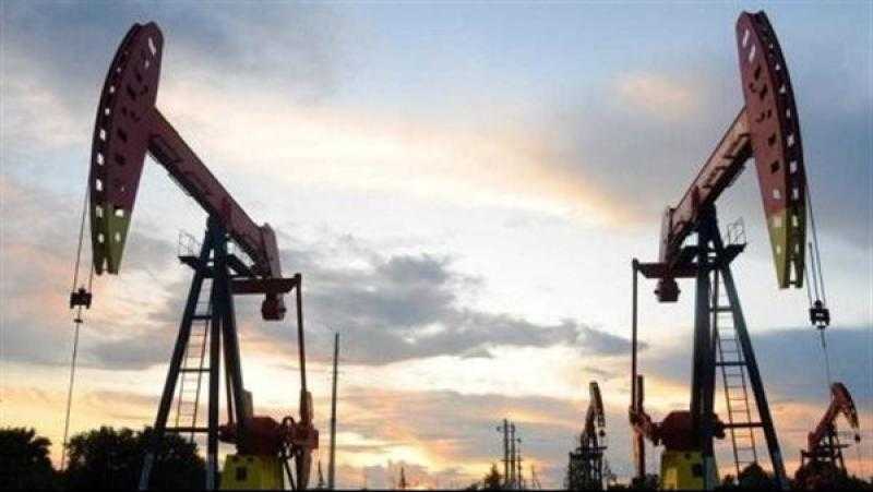 الجزائر تعلن اكتشاف نفطي جديد بعد 28 عامًا