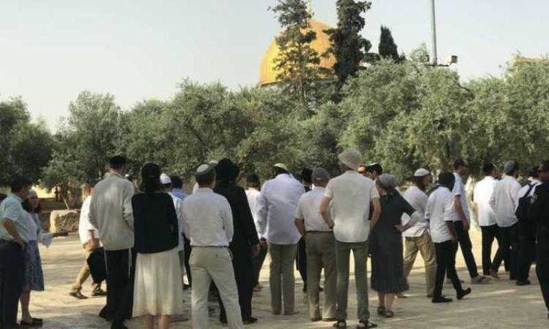 الأردن يدين استمرار اقتحام المتطرفين للمسجد الأقصى