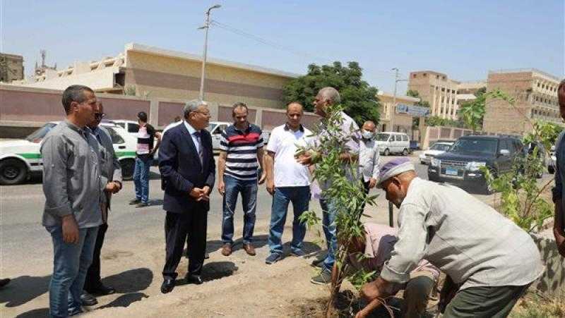 محافظ المنيا يشهد زراعة مجموعة من الأشجار بالمدخل الشمالي للمدينة