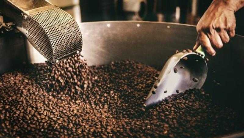 الشعبة: لدينا فائض في مخزون البن رغم تزايد معدلات الاستهلاك عند المصريين