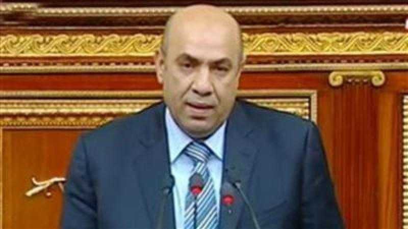 برلماني: توجيهات الرئيس بالدعم الاستثنائي ضرورة لتحقيق العدالة الاجتماعية وإدخال الفرحة في قلوب المصريين