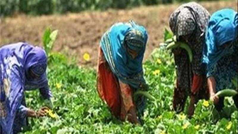 «الزراعة» تكشف تفاصيل مبادرة التمويل الأخضر لتمكين المرأة وصغار المزارعين