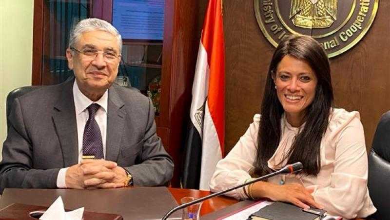 وزيرا التعاون الدولي والكهرباء يبحثان مشروعات الطاقة ضمن برنامج «نوفي»