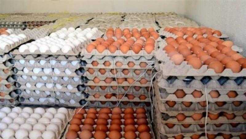 سعر طبق البيض والدواجن بالمحلات اليوم