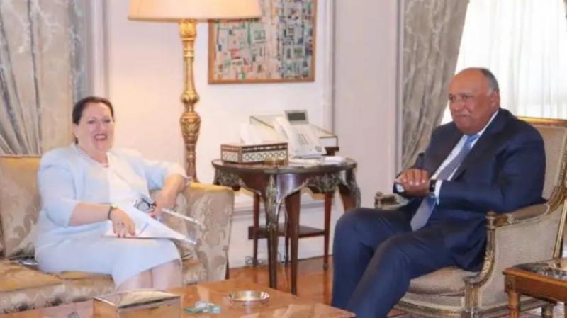 شكري يشيد بالتعاون بين مصر وبرنامج الأمم المتحدة الإنمائي للدول العربية