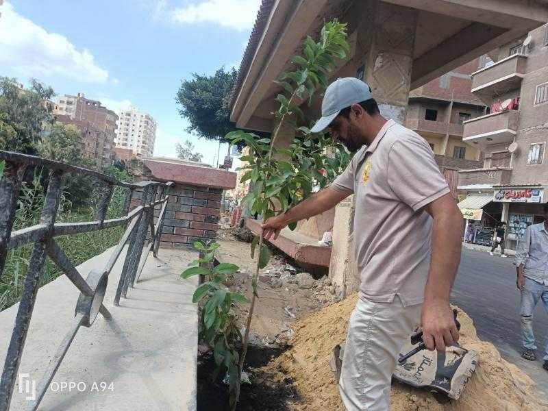 بالصور .. حملات نظافة و تجميل وزراعة الأشجار بعدد من مراكز وقرى كفر الشيخ