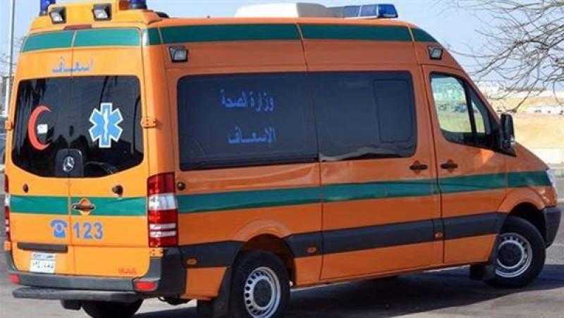 النيابة تحفظ التحقيقات في غرق طفلة بالجيزة