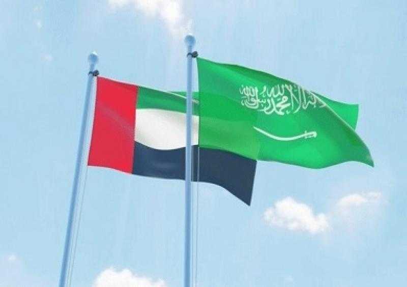 الإمارات والسعودية تبحثان سبل توحيد الرؤى والمواقف نحو مختلف القضايا