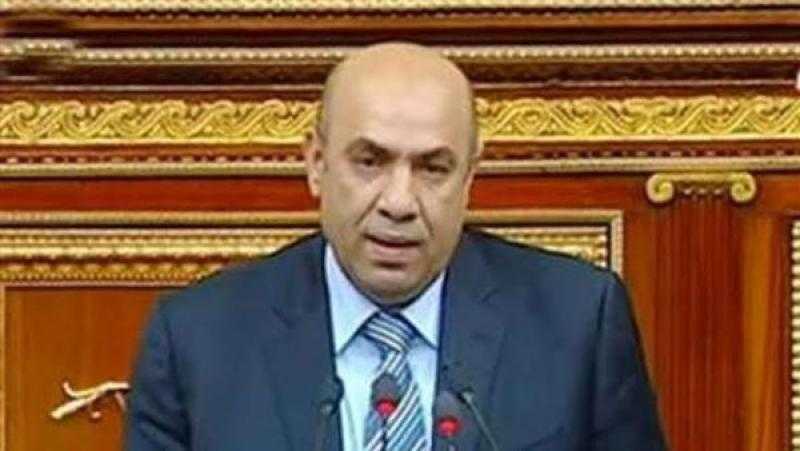 برلماني: تطوير المنظومة التعاقدية يسهم في تحقيق الأمن الغذائي