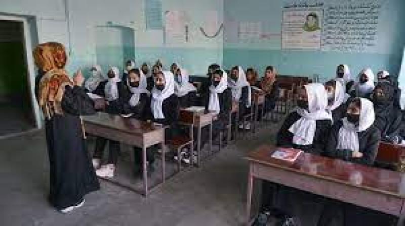 ارشيفية