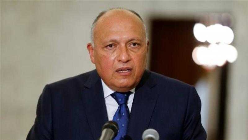 شكري ونظيره اليوناني: الحكومة الليبية المنتهية ولايتها لا تملك صلاحية إبرام اتفاقيات دولية