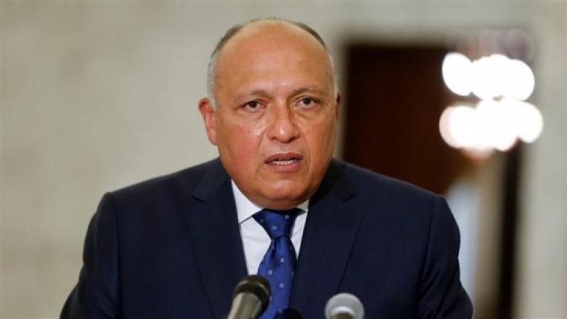 وزير الخارجية سامح شكري
