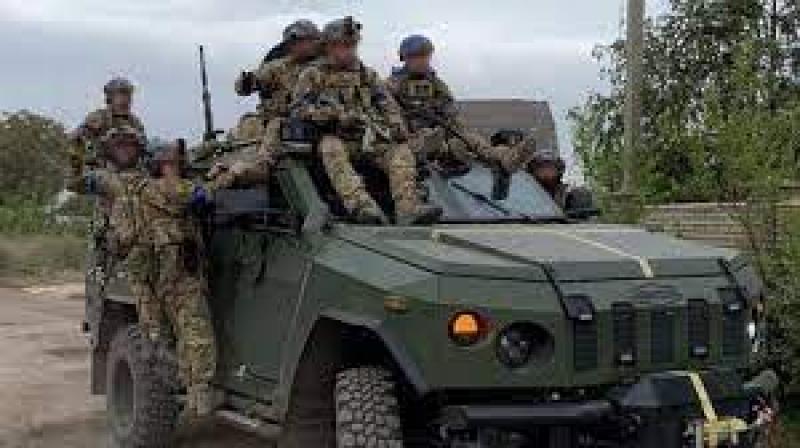 ارشيفية